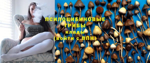 apvp Абинск