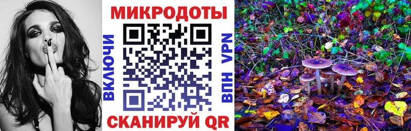 наркота  Кадников  Псилоцибиновые грибы MAGIC MUSHROOMS 